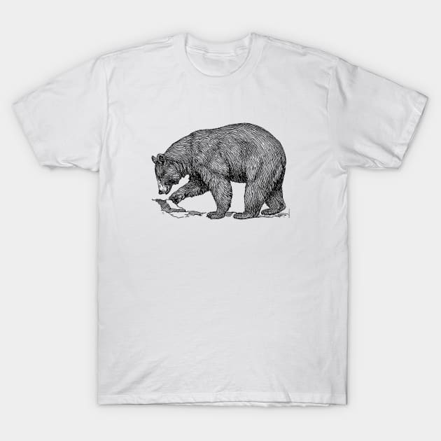 Black bear T-Shirt by linesdesigns